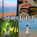 어달해수욕장 | 어달해수욕장 어달해변숙소 어쩌다어달에서 회포장 후기