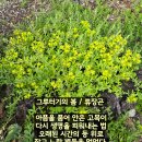 그루터기 - 제주시 조함해안로 428-18 | 그루터기