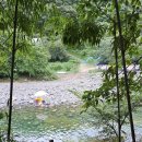 산돼지마을 | [울산]고기먹고물놀이하고 1석2조_배내골 계곡식당 산돼지마을 상세후기!(텐트자리)