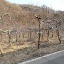 새수원부동산중개사무소 이미지