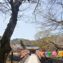 마곡사관광지 | 공주여행 추천 마곡사 대웅전