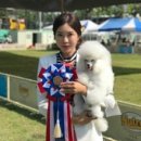 모찌애견샵 이미지