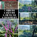 부산약초
