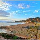 삼대한채 이미지