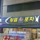 황금포차 | 용봉동 횟집 황금회포차 내돈내산 솔직후기