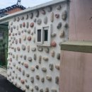 비렁길돌담민박 이미지