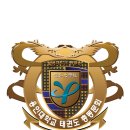 석사용인대신성태권도 이미지