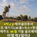신해투어 이미지