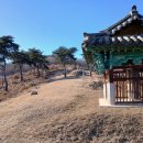은산 홍윤성 묘 및 비 네이버블로그