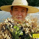 (주)큰집 이미지