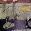 [낚시]인천 쭈꾸미 낚시 조황기