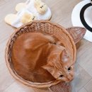 라라리 | 영어 미니학습지 후기 3차_라라리 라라 ~~