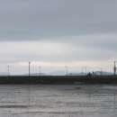 율포농장 이미지