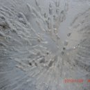 주운농장 이미지