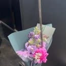 옥스트