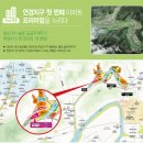 위시아이