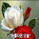 인심조석지변~~~마음천태만성 이미지