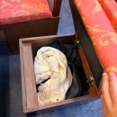 회기로 30 | [동대문/회기] 쫄깃함에 육즙 팡, 경희대 맛집 '오겹촌' 후기