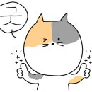 웨스트펫