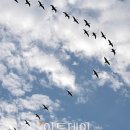 달리는공인중개사사무소 이미지