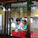 분도와안나 개미꽃동산 이미지