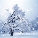 산호동017 이미지