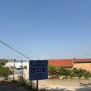 주영농장 | 오창디저트카페 찾는다면? 청주 유송블루베리농장 카페 방문기