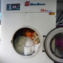 크린세탁전문점 이미지