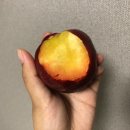 원씨네농장 이미지