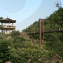 금성여행사 이미지