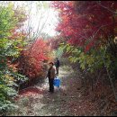 하늘농원 이미지