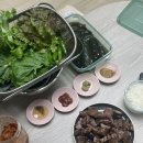6.6식육점
