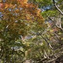 문동휴양림 주차장 이미지