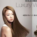 브론즈헤어