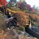 지천생태공원 이미지