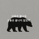 진 곰 이미지