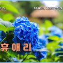 돼지야놀자 - 수영구 과정로 75-2 | 제주도 수국축제 명소 제주 휴애리수국축제 후기