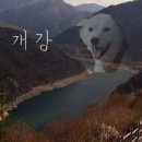 개강