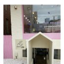 오띠모도떼 이미지