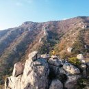 읍내중앙길 이미지