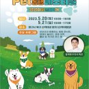 놀다가개 이미지