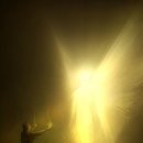 존재의 사랑 이미지