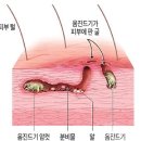 세종시보건소 이미지