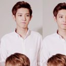 알파오메가 이미지