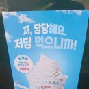 마이요거트립제주 | 요거트아이스크림 디저트 마이요거트립 제주노형점 포장 후기