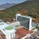 사천시 특별교통수단 이미지