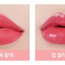 립메이드 네이버블로그