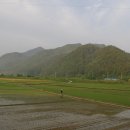 매화초교 이미지