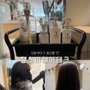 리 (Lee) 헤어 | 평택 용이동 미용실 | 찰스리 헤어테크 CHARLESLEE | S클리닉 후기 | 모발케어로 엔젤링 만들기