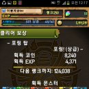 배*두